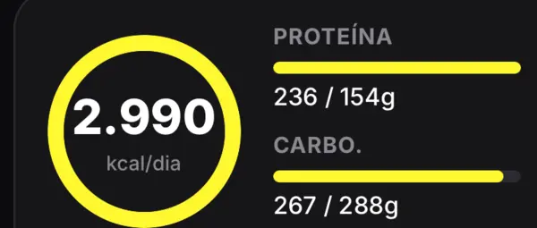 Card de macronutrientes: 2.990 kcal por dia, proteína e carboidrato