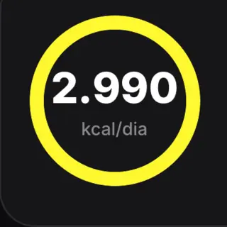 Card de calorias diárias: 2.990 kcal por dia